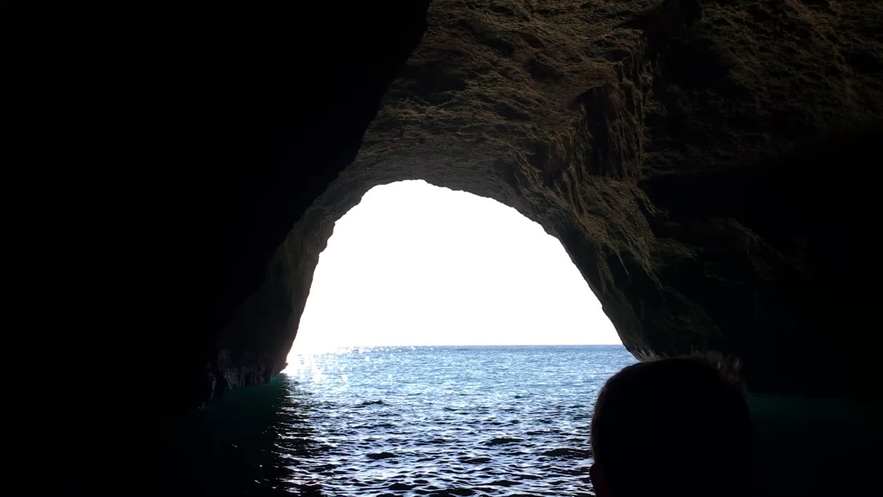 Sea Cave & Dolphin Watching Tour (Benagil, Algarve, Portugal) 27
