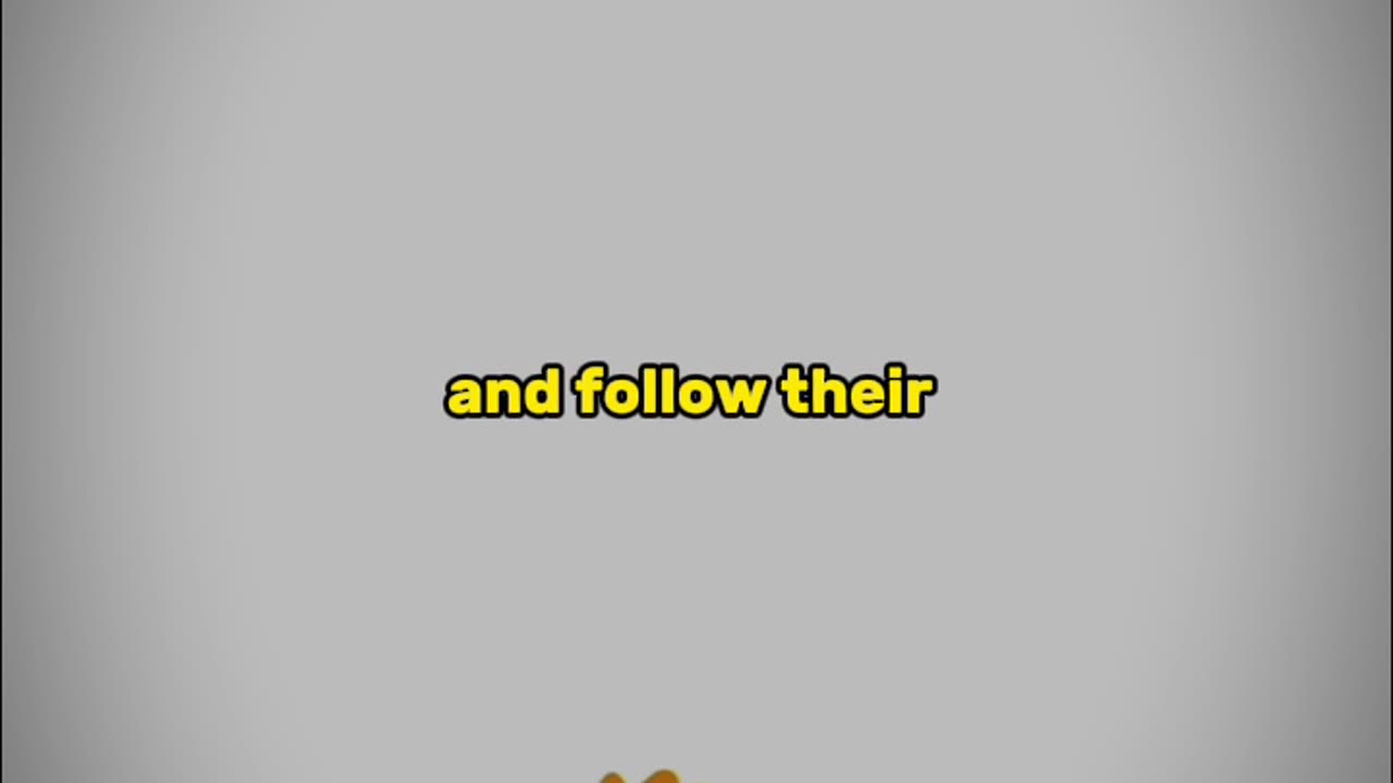 Follow dreams NOT crowd