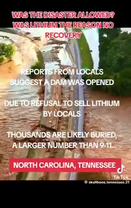 MASS MURDER 💀 FOR LITHIUM❓