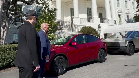 Trump picks a Tesla
