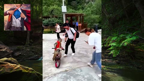 Monkey on a Bike Goes Wild—Chasing Strangers Like a Maniac!