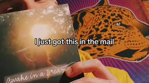 Winged Alchemy's Ashley Coleman of $hockoebottomgirl$ Book of Poetry: "Awake In A Dream" by Patrick Henry The Batman