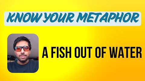 A Fish Out of Water - Metaphor of the day