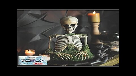 Animated Mossy Skeleton Tabletop Decoration Review