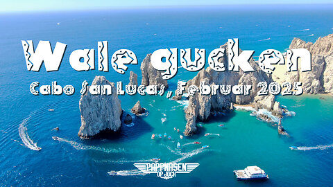 Wale gucken