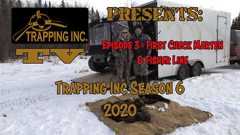 Trapping Inc Season 6 Episode 3 New marten and fisher season!