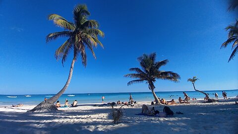 PARQUE DEL JAGUAR (II.), TULUM, MEXICO (Febrero 2025)