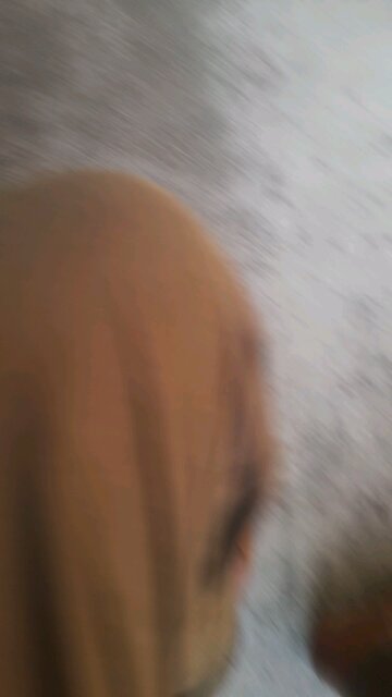 #@ my lovely cat ""Browney""