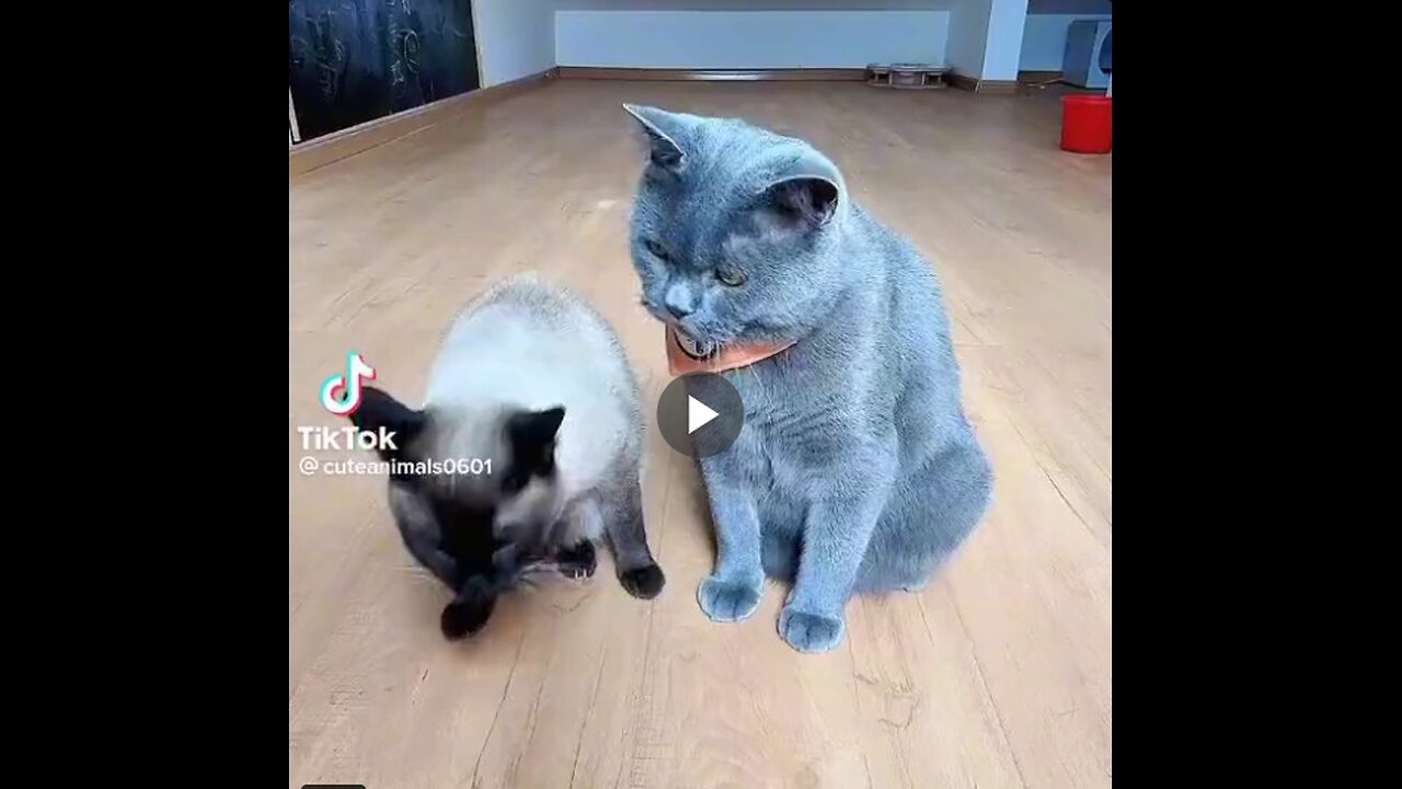 Best actor award.
