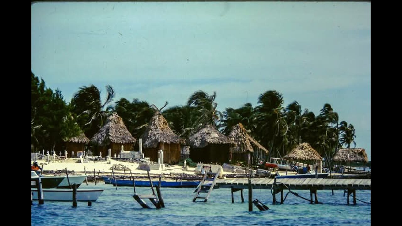 Belize Dive Centre, October 1993