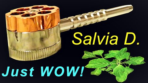 Salvia Divinorum : First Trips & Techniques