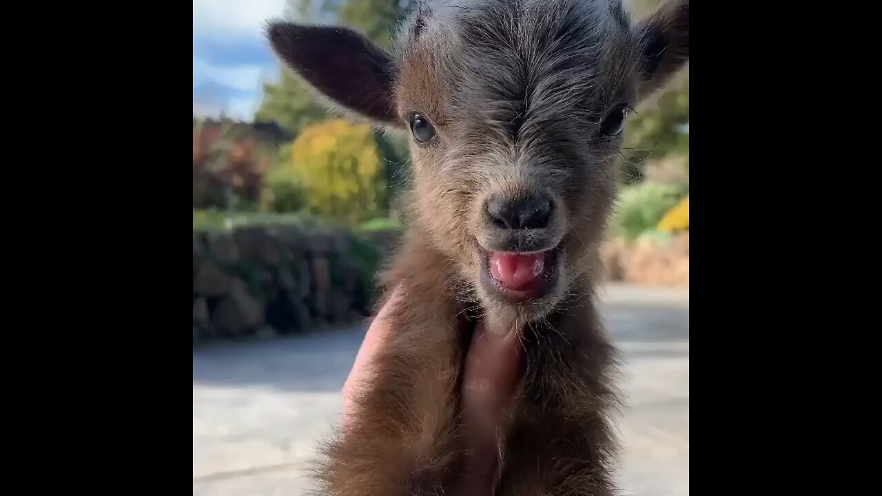 cute