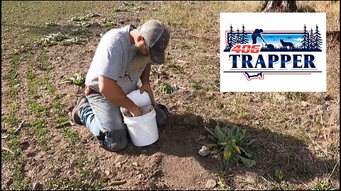 Long Lining Coyotes with Paul Antczak aka Montana Wolf Trapper