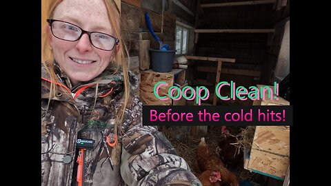 Cleaning the Chicken Coop | Cold weather is coming!