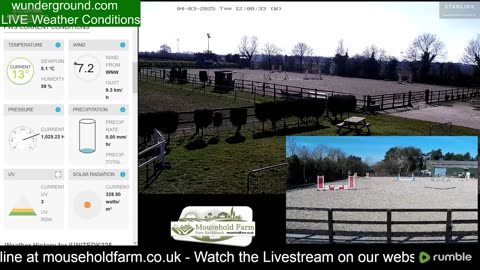 Mousehold Farm All Weather Riding arena