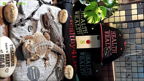 ⭕2025 Live Stream Day 7🔴 With 🐉 Mascots 🍎 🐲 Kobe & Health A Day In The Life Of Bearded Dragons🐲Day7🐉⭕Live🦎Stream🔴