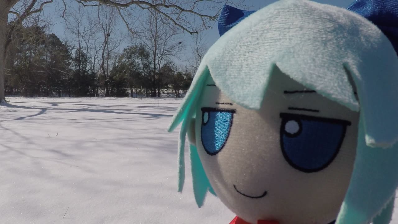 Snow Snail