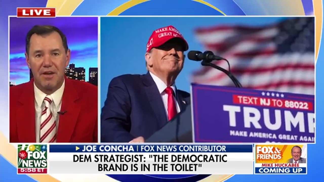 Dem strategist warns party's brand is 'in the toilet'