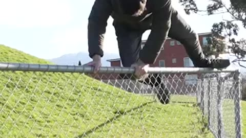 How animal get over a fence