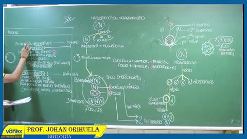 VONEX SEMIANUAL 2023 | Semana 12 | Biología S2