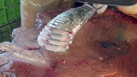 WOW !!!🫣Amazing Fish Slicing #shorts #fishcutting #cuttingskills