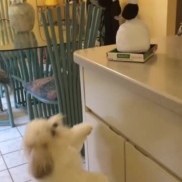 I love my new toy gift so much