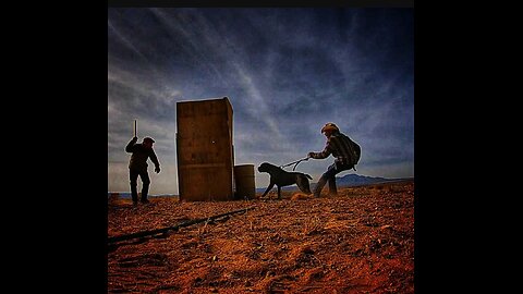 Guardian Dog obedience demo