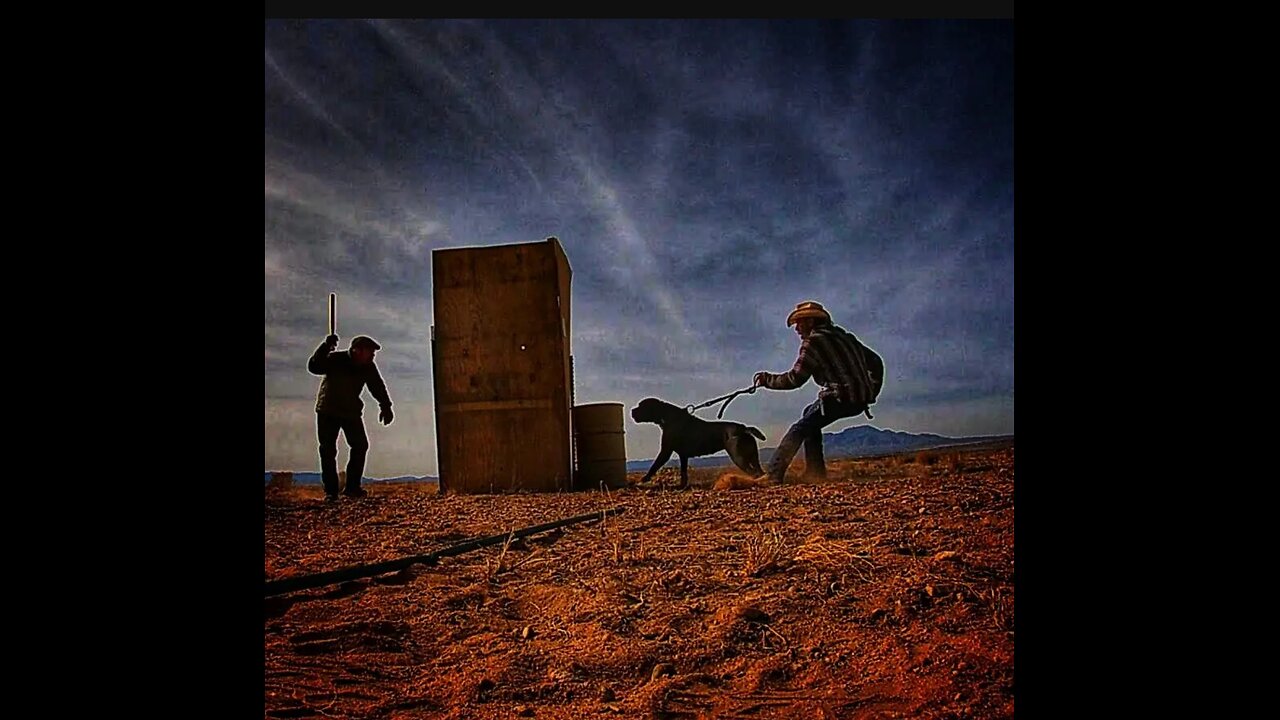 Guardian Dog obedience demo