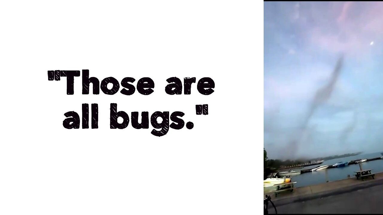 "Those are all bugs."