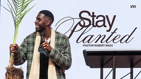 Stay Planted -- Robert Madu