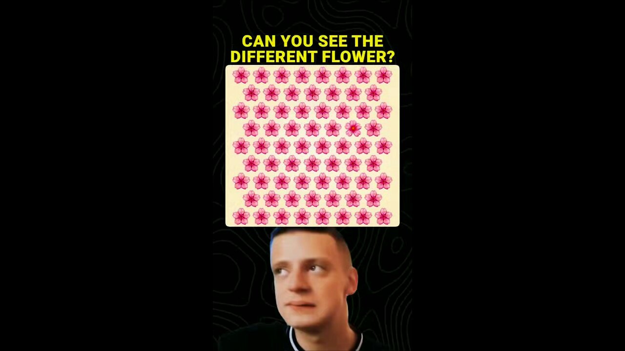 find the different flower