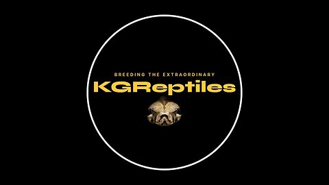 Reptile Room Update