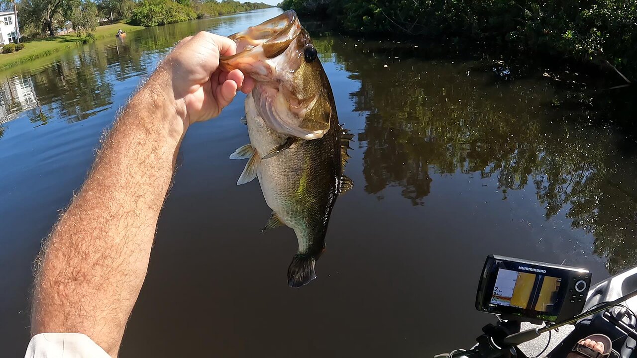 Bass Fishing after the Fall Hurricanes