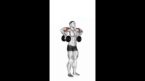 Dumbbell Raise Exercise.