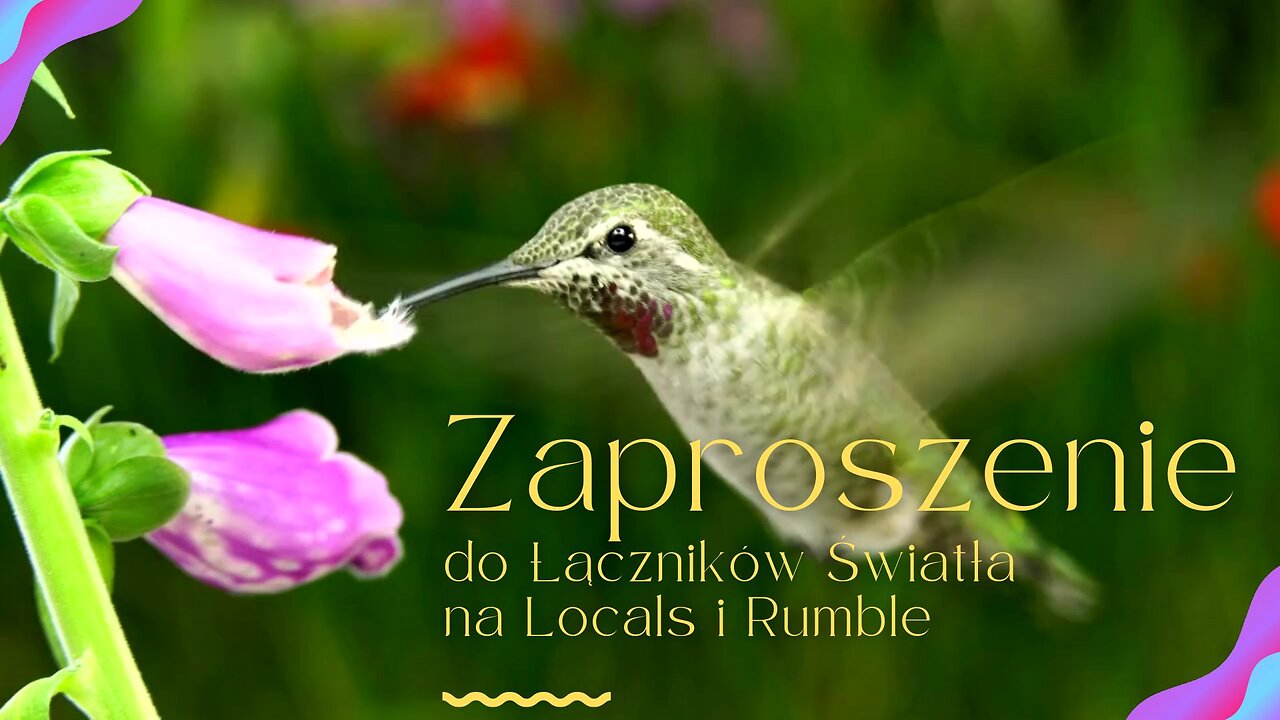 Zaproszenie na Rumble i Locals + Instrukcja Dołączenia i Subskrypcji