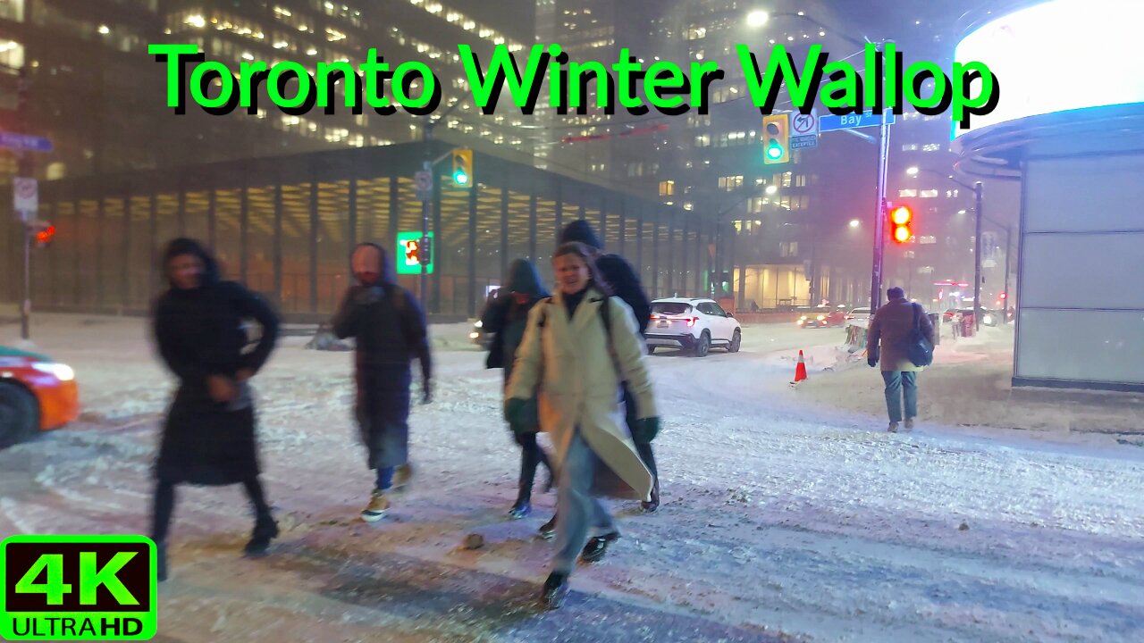 【4K】Major Winter Storm hits Toronto Downtown snow storm walk Canada 🇨🇦