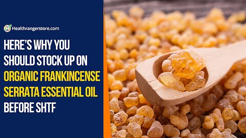 Here’s why you should stock up on Organic Frankincense Serrata Essential Oil before SHTF