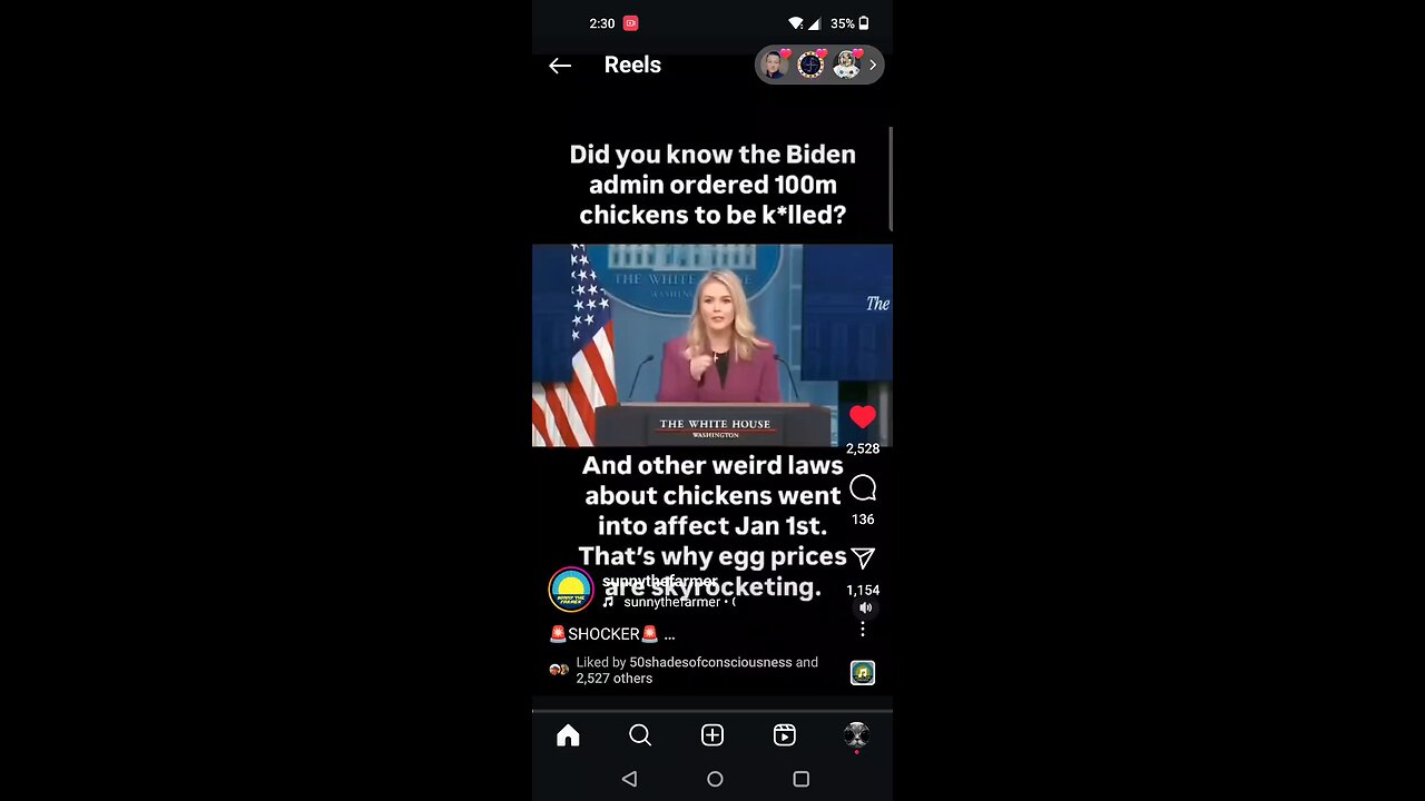 The Chicken And The Egg