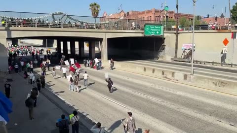 Anti-ICE protesters have descended on the 101 Freeway in Los Angeles