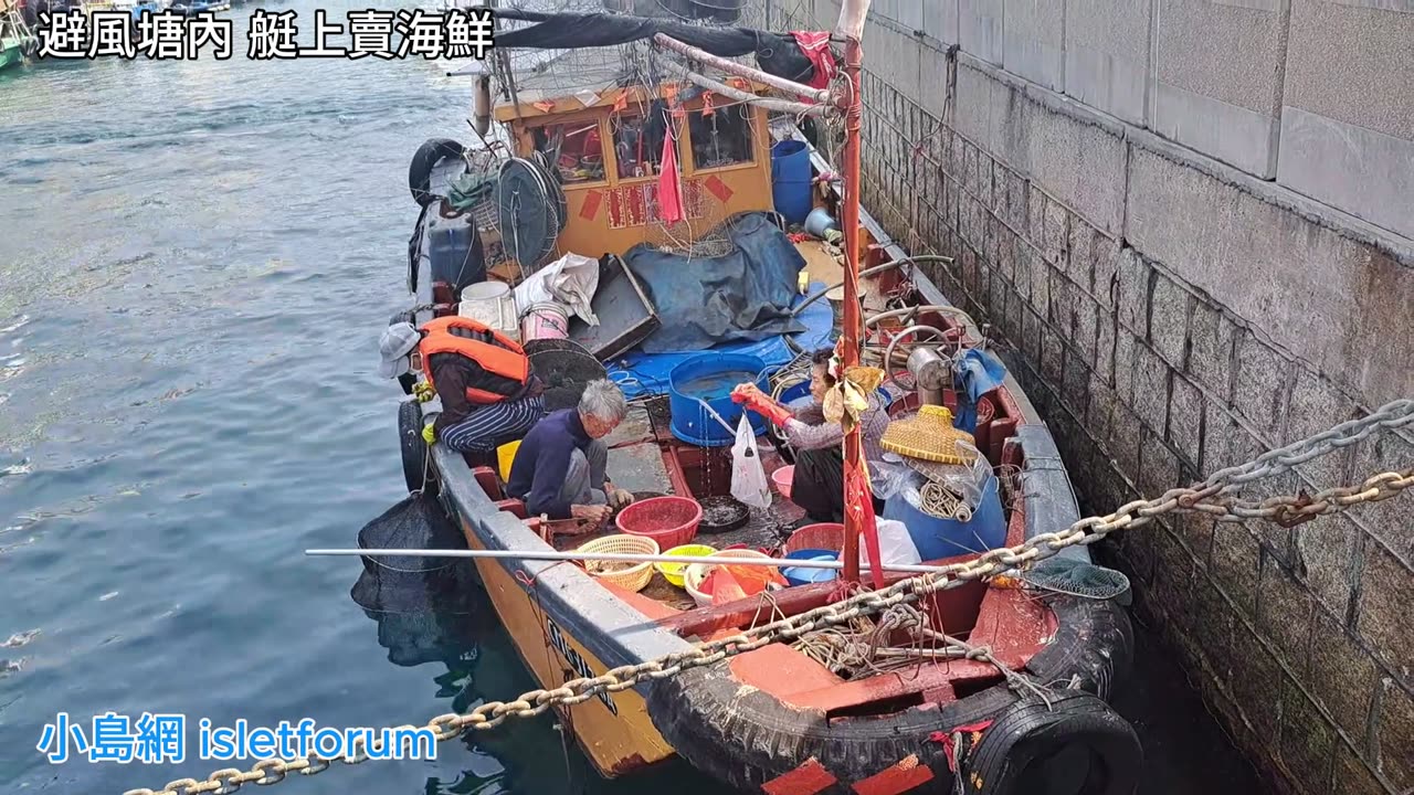 避風塘內 艇上賣海鮮 mhp4177 feb2025
