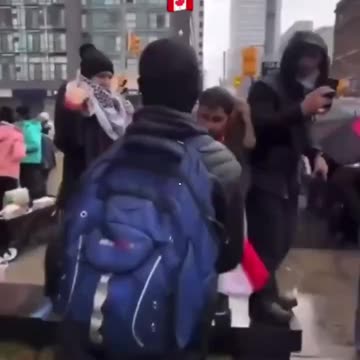 A man attempts to pass through a pro-Palestine rally with a Canadian flag and is