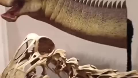 Nigersaurus