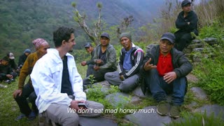 Nepal's Mad Honey That Causes Hallucinations (They climb to go insane)