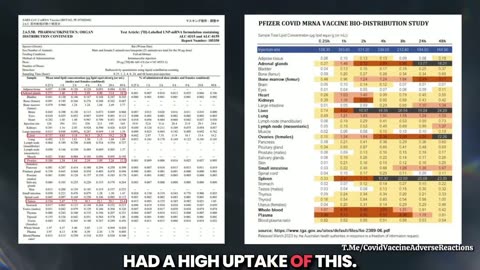Covid Shots Instruct Vital Organs to Become Toxic