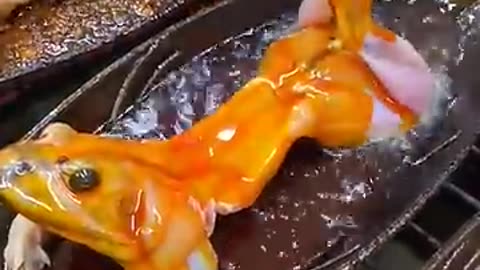 Frog fry 🐸🐸 Thai cooking frog fry