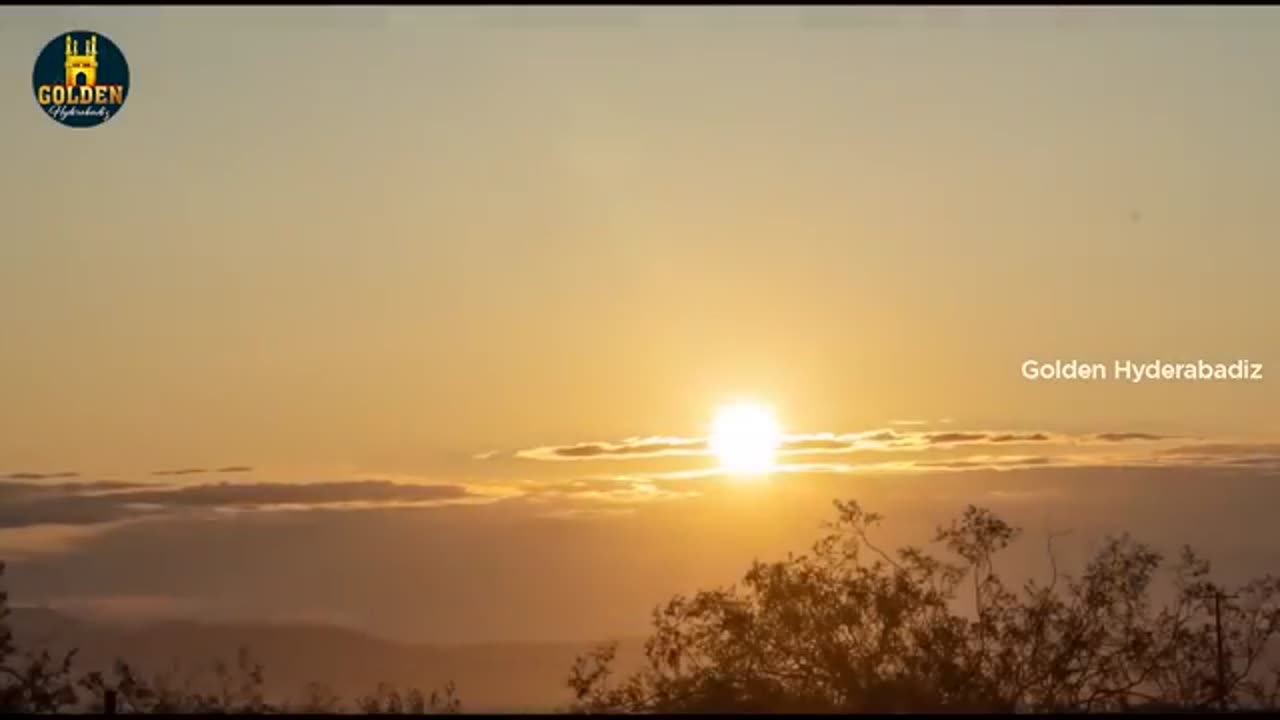 Trending Funny Videos
