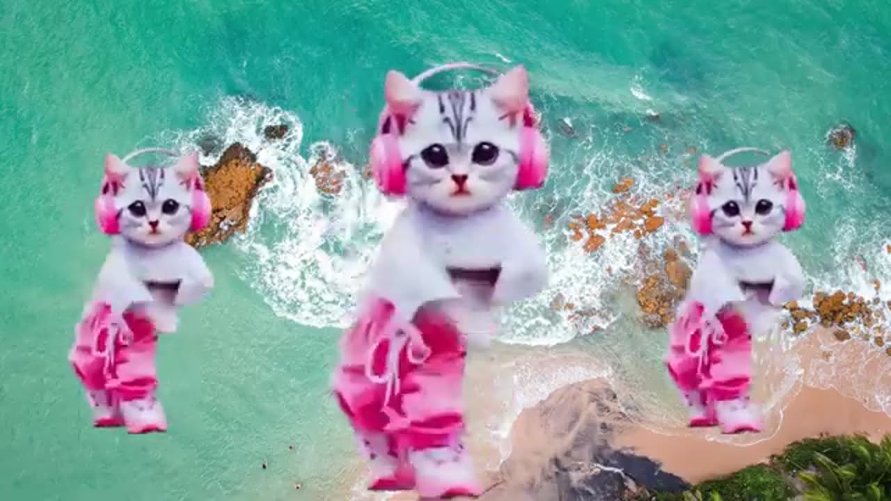 Cat funny dance 😂