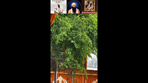 ਧੰਨ ਧੰਨ ਰਾਮਦਾਸ ਗੁਰੂ ਜੀ Dhan Dhan Ramdass Guru Ji