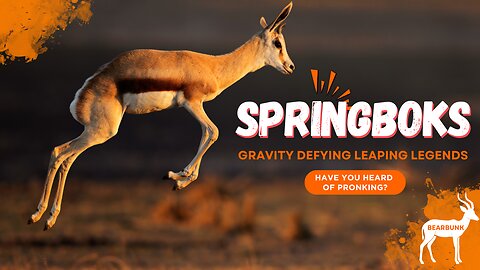 Springboks: Gravity-Defying Leaping Legends 🦌