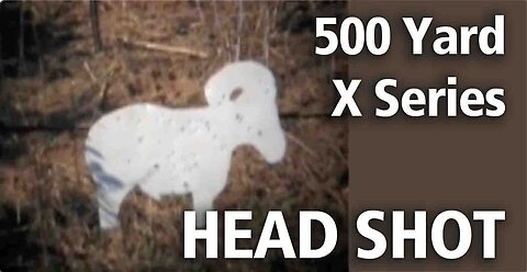 X Series Rifle - 500 yard head shot